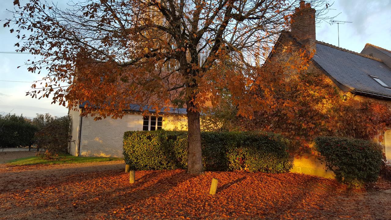 Moulin De Bacchus Bed and Breakfast Chançay Buitenkant foto